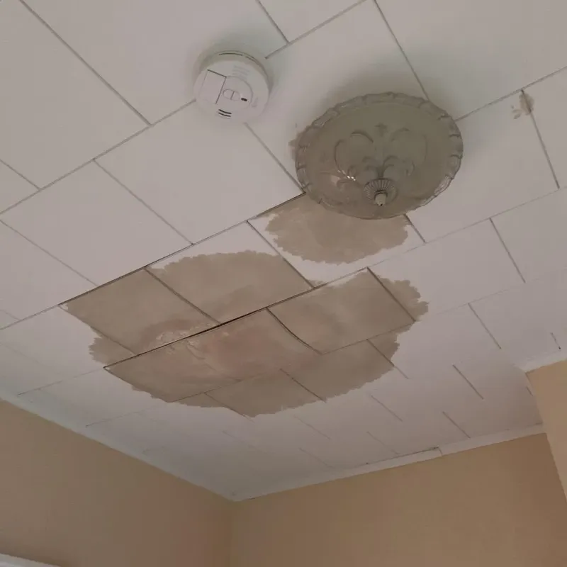 Ceiling Water Damage Repair in McGovern, PA