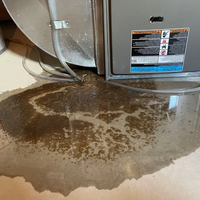 Pipe Burst and Leak Restoration in McGovern, PA