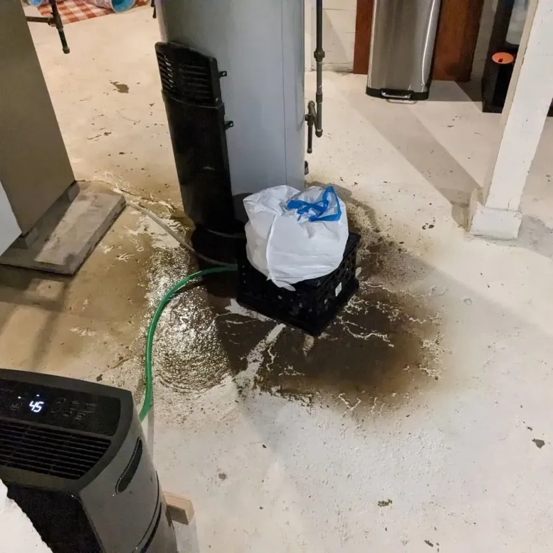 Sewage Backup Cleanup Service in McGovern, PA